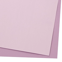 LILAC Purple+Nude Powder [40*45 см 20 фотографий]