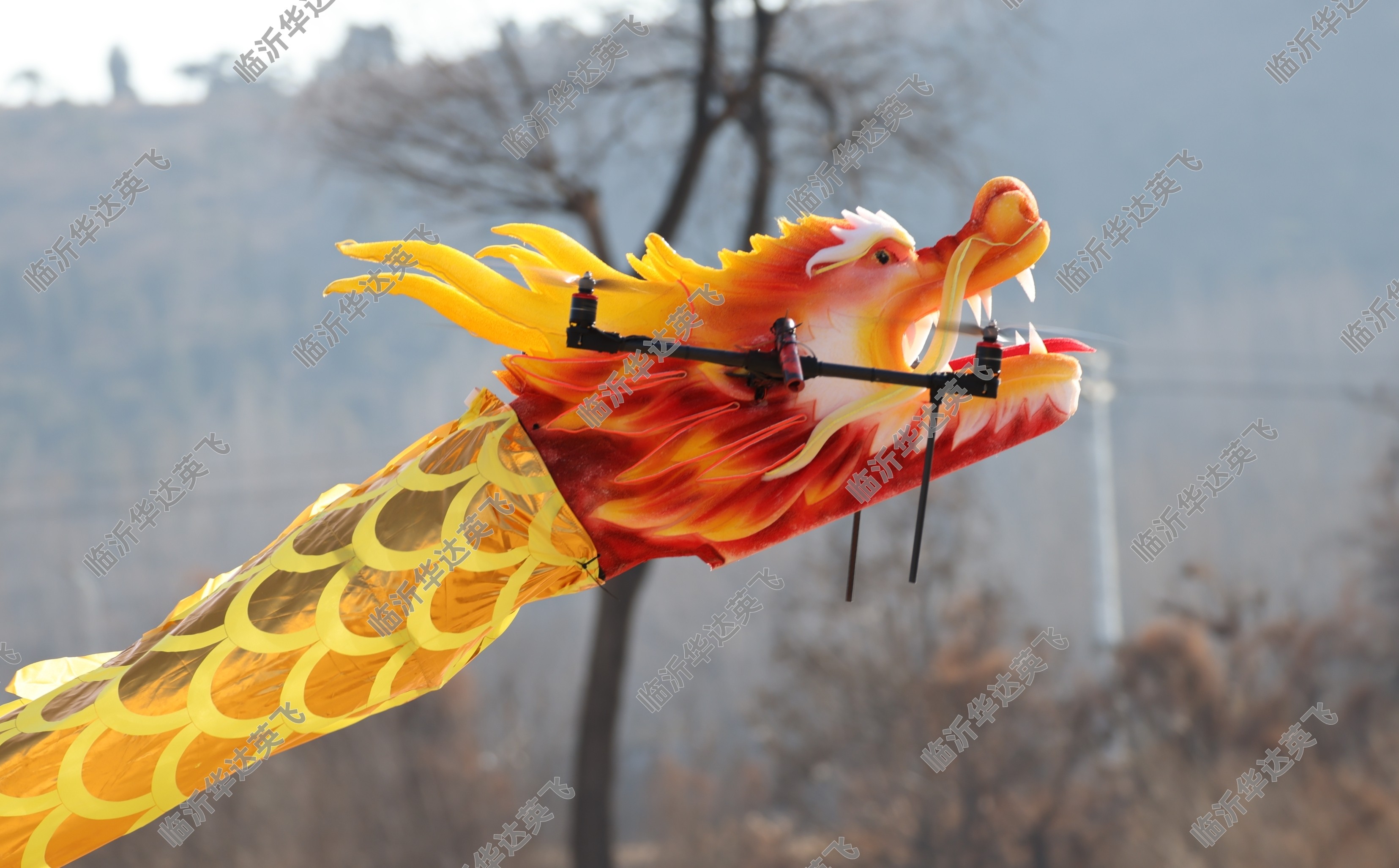 遥控飞龙四电机版四轴方案垂直起降操作灵活姿态优美带灯带带冷烟