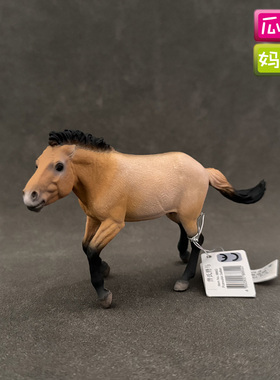 collecta普氏野马88602英国品牌我你他仿真动物模型玩具