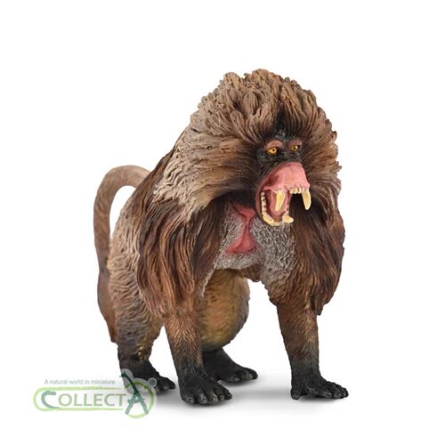 2026年新品狮尾狒collecta 我你他仿真动物模型玩具80066