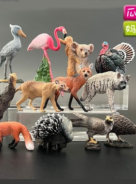 collecta鲸头鹤狐狸火鸡鹰考拉袋狼仿真动物模型儿童认知玩具