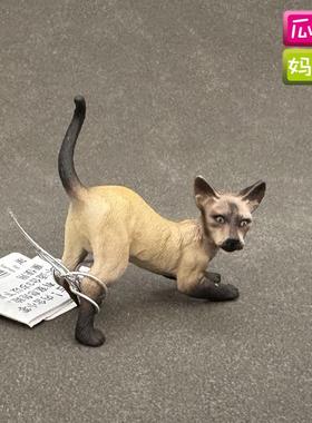 英国collecta我你他 暹罗猫 仿真家庭宠物猫模型儿童玩具88332