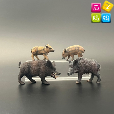 collecta我你他野猪树脂