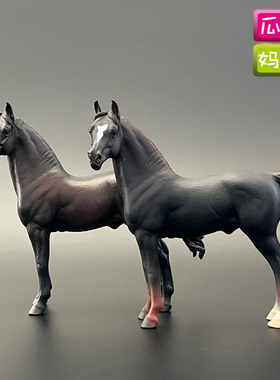 collecta我你他摩根公马母马仿真农场马术动物塑胶儿童玩具88646