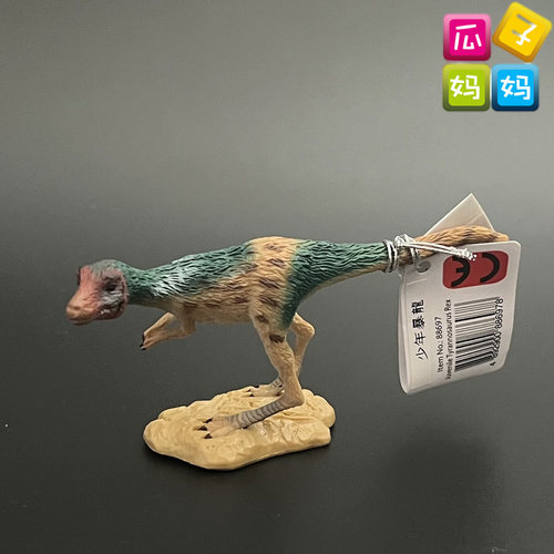 collecta我你他 少年暴龙 仿真恐龙动物模型儿童认知玩具88697