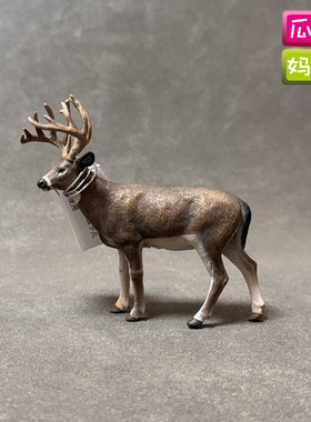 collecta我你他 英国仿真野生动物森林模型玩具认知88832白尾鹿