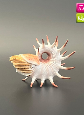 collecta2022年空脊鹦鹉螺仿真远古海洋恐龙动物模型玩具88946