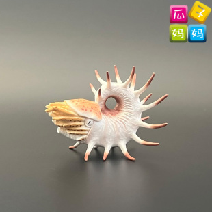 collecta2022年空脊鹦鹉螺仿真远古海洋恐龙动物模型玩具88946