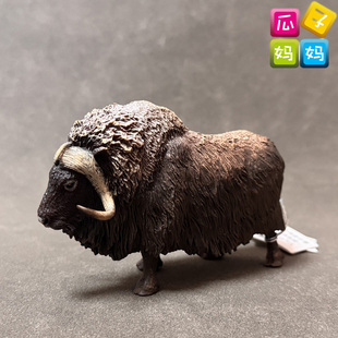 collecta我你他 麝牛仿真丛林动物牛类模型儿童认知玩具88837