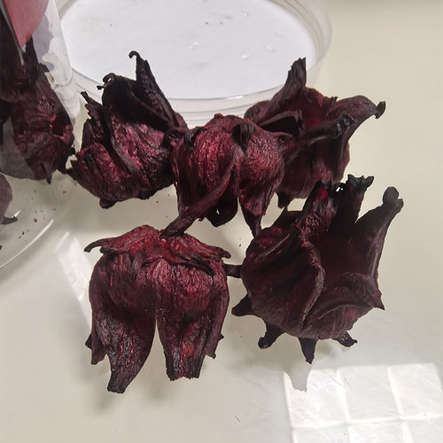 云南高原农家精品冻干洛神花茶