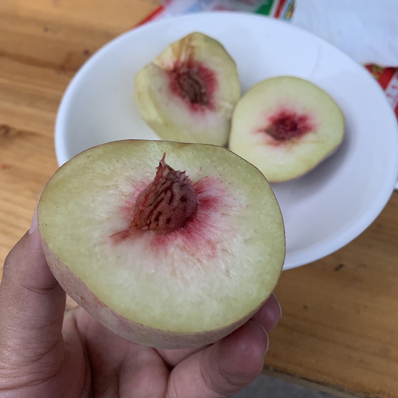 百草萝冬桃高山水果大理苍山甜