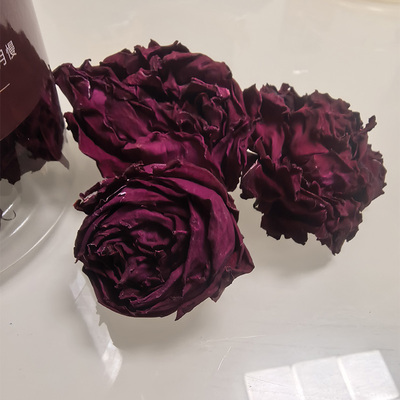 大理高山墨红玫瑰花青素高