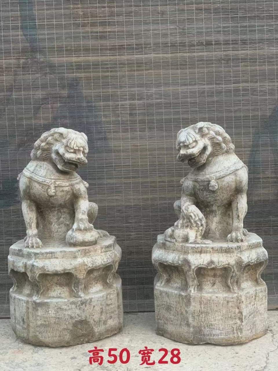 明代歪头护门石狮子.  高度50.直径28厘米