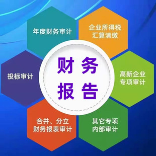 年度财务审计财务报告报表招投标贷款清算专项高新 企业公司验资
