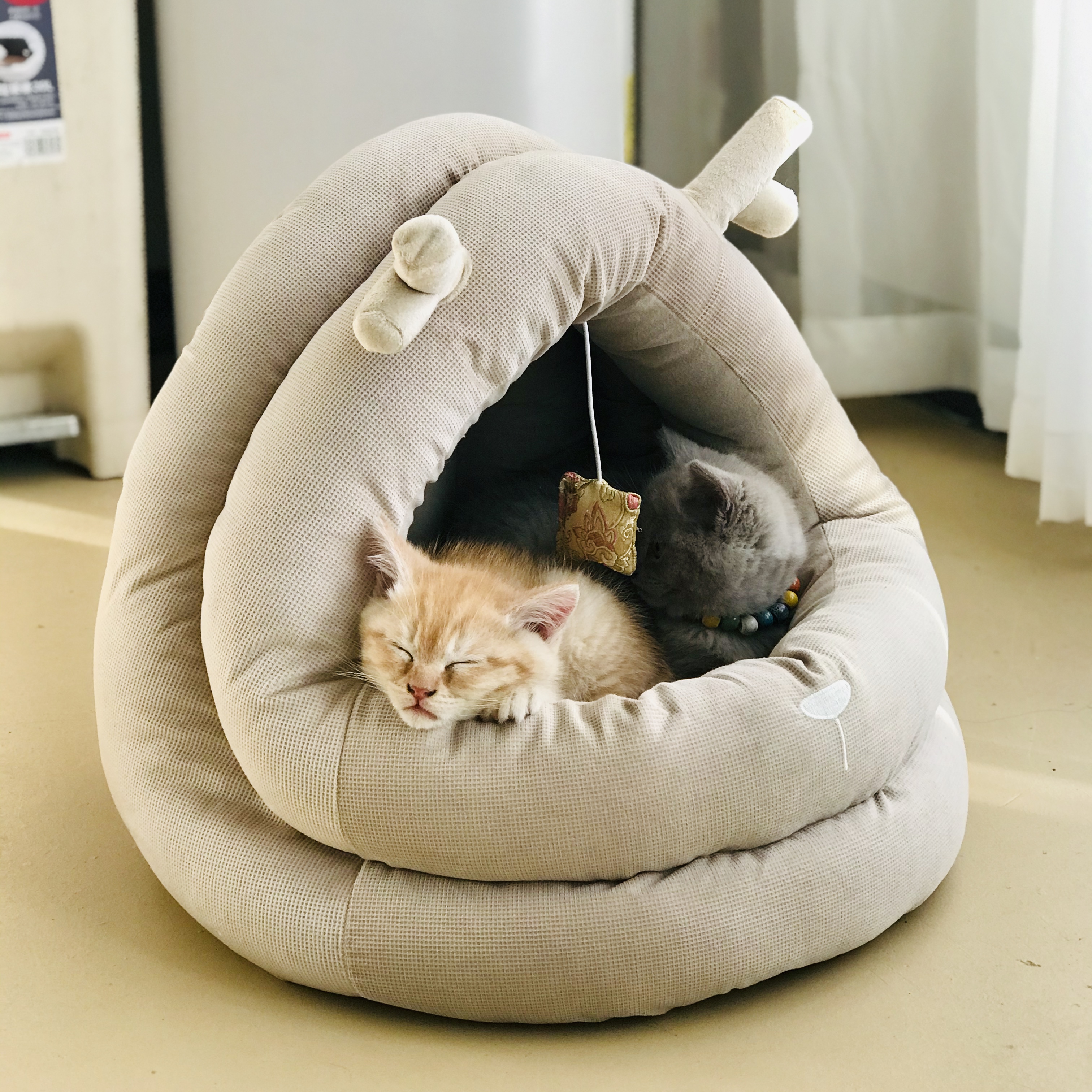 暖冬猫窝编制猫抓垫玩具球