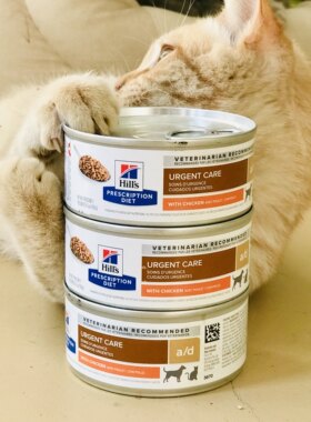 希尔斯AD处方猫罐头补充营养