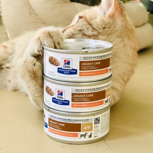 希尔斯AD处方猫罐头补充营养
