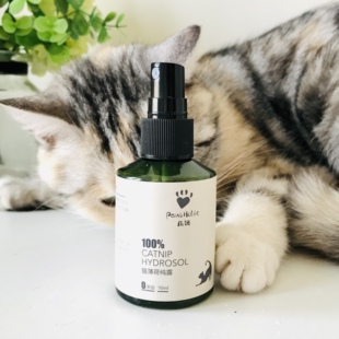 爪迷PawsHolic薄荷纯露可食用薄荷喷雾逗猫自嗨互动猫零食