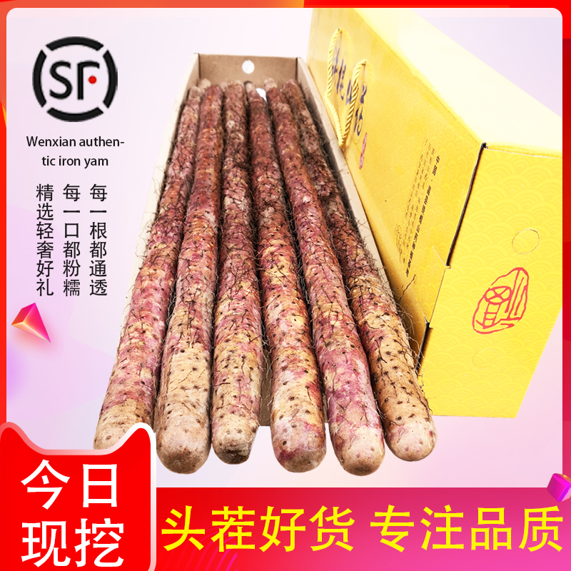 河南焦作怀淮山红皮铁棍山药新鲜铁杆怀山粗山约温县山药礼盒装