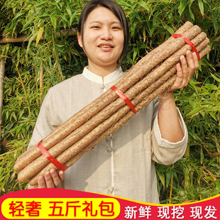 铁棍山药河南焦作山药新鲜怀山药铁杆山药视频正宗温县长山药5斤