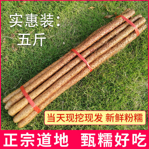 正宗河南焦作新鲜铁杆淮山药