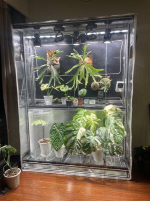 加厚铝箔膜罩保温保湿温室暖房花架热植多肉兰花凤梨不同尺寸定做