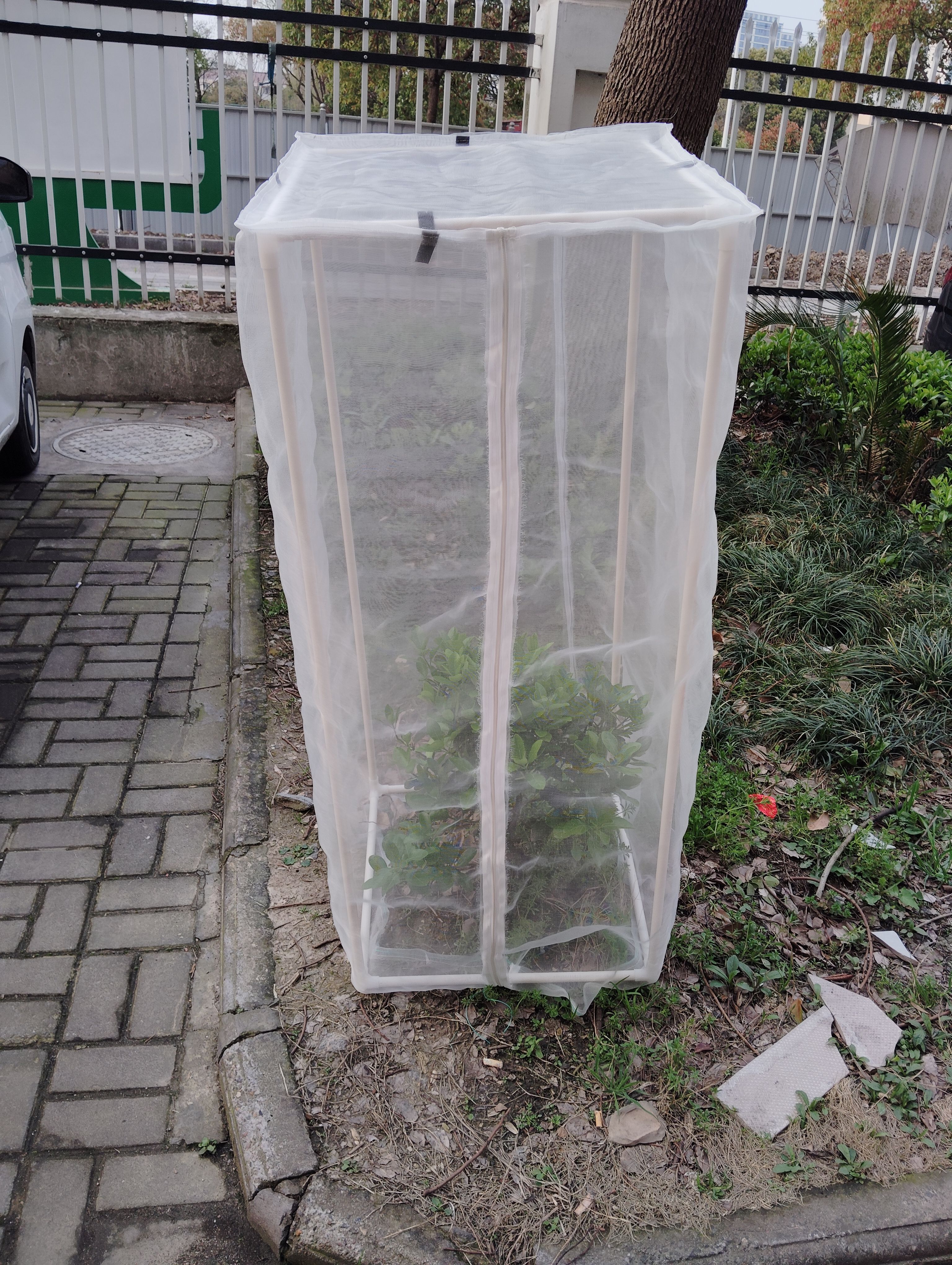 定制60目有机种植种菜养花防虫网防鸟网保护衣物防鸟羽乱飞保护罩