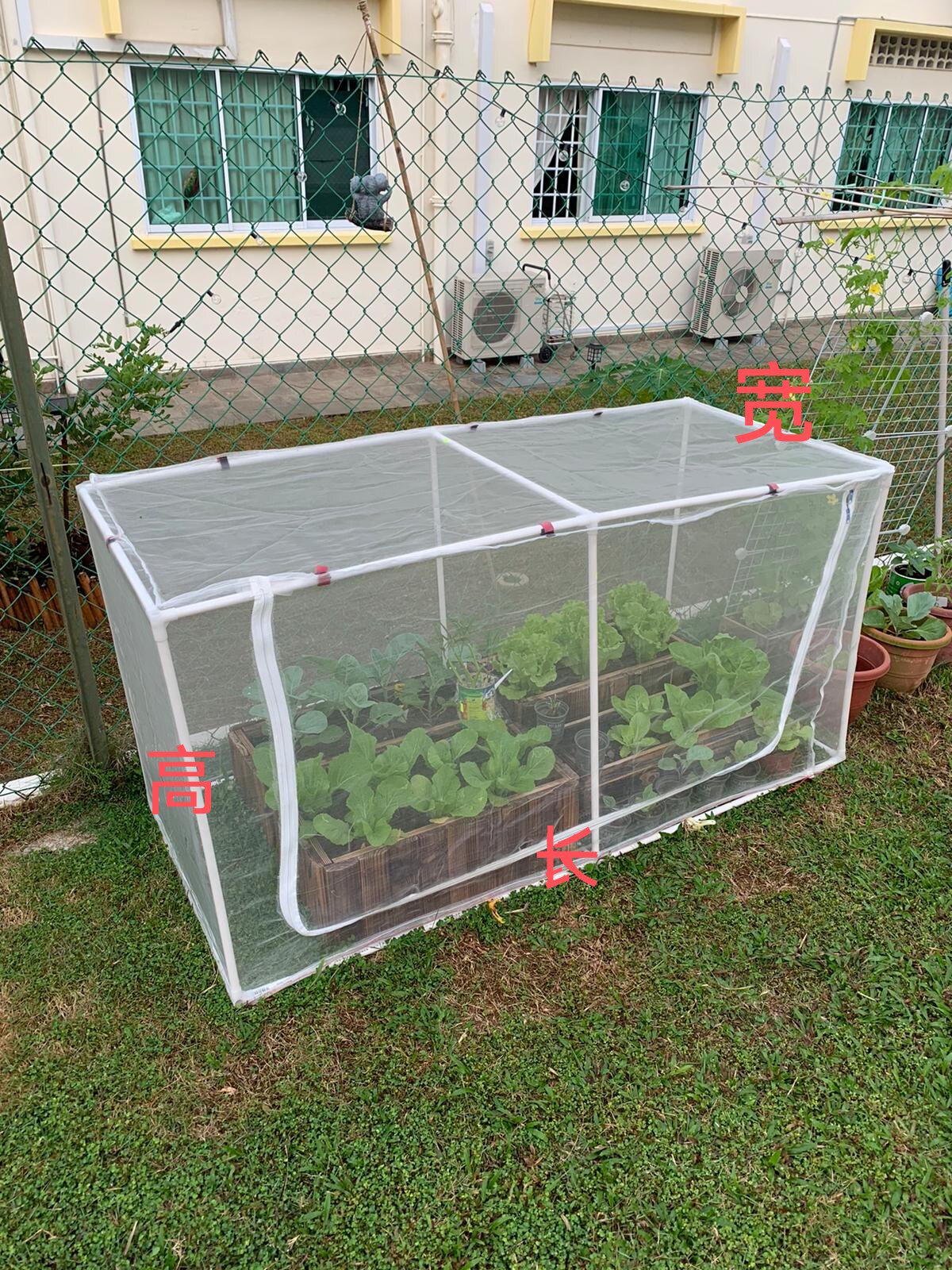 阳台菜园防鸟网防虫网有机种菜家庭菜园蔬菜多种尺寸框架定做包邮,鲜花速递/花卉仿真/绿植园艺,其它园艺用品,淘宝优惠券,粉丝福利购,淘宝优惠卷