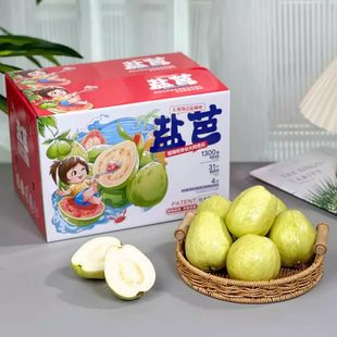 白心芭乐 盐芭奶油芭乐 福建漳州诏安 12个礼盒装 番石榴 5斤大果9