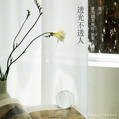 云门造境客厅阳台柔光不透人窗纱