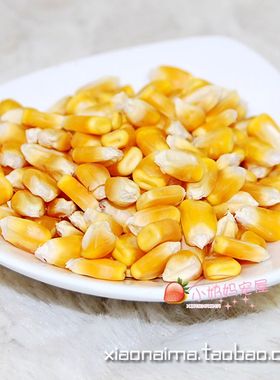 小宠磨牙黄玉米粒磨牙健齿助消化