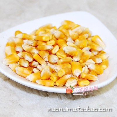 小宠磨牙黄玉米粒磨牙健齿助消化