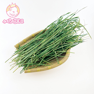 25年新草 烘干小麦草带杆高纤维翠绿清香适口性好高纤维 天然排毛