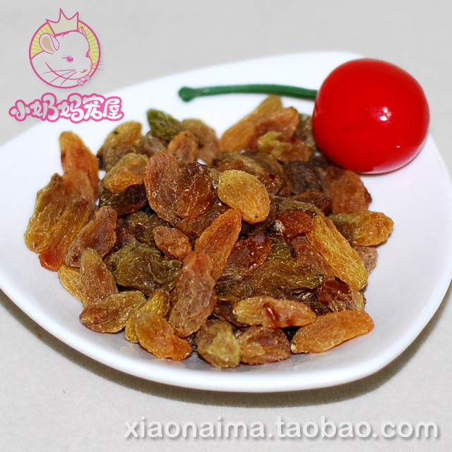 龙猫兔子豚鼠小宠零食天然葡萄干