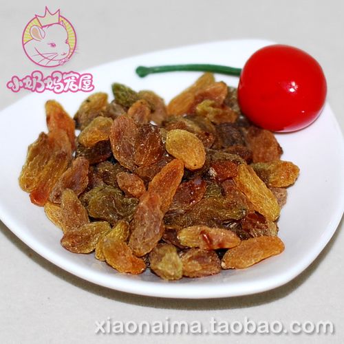龙猫兔子豚鼠小宠零食天然葡萄干