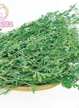 26年新草精品苜蓿草高蛋白营养补钙磨牙叶小杆细翠绿清香适口性好
