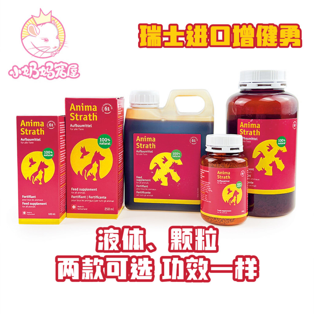 瑞士增健勇增强体质免疫力龙猫兔