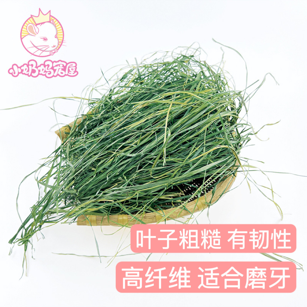 赫尔达果树草牧草高纤维磨牙几乎全叶助消化适口性好兔子龙猫豚鼠,宠物/宠物食品及用品,玩具/造景装饰,淘宝优惠券,粉丝福利购,淘宝优惠卷