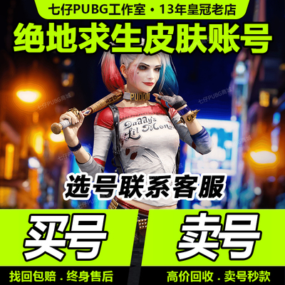 PUBG绝地求生500级成品皮肤号