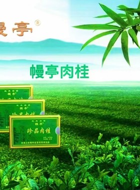 幔亭珍品肉桂 MT209 武夷岩茶 桂皮香 辛锐持久 小盒包装携带方便