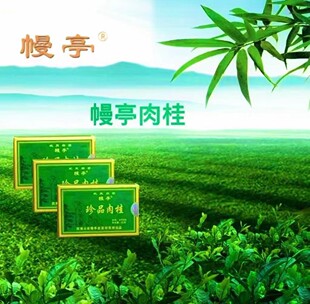 幔亭珍品肉桂 MT209 武夷岩茶 桂皮香 辛锐持久 小盒包装携带方便