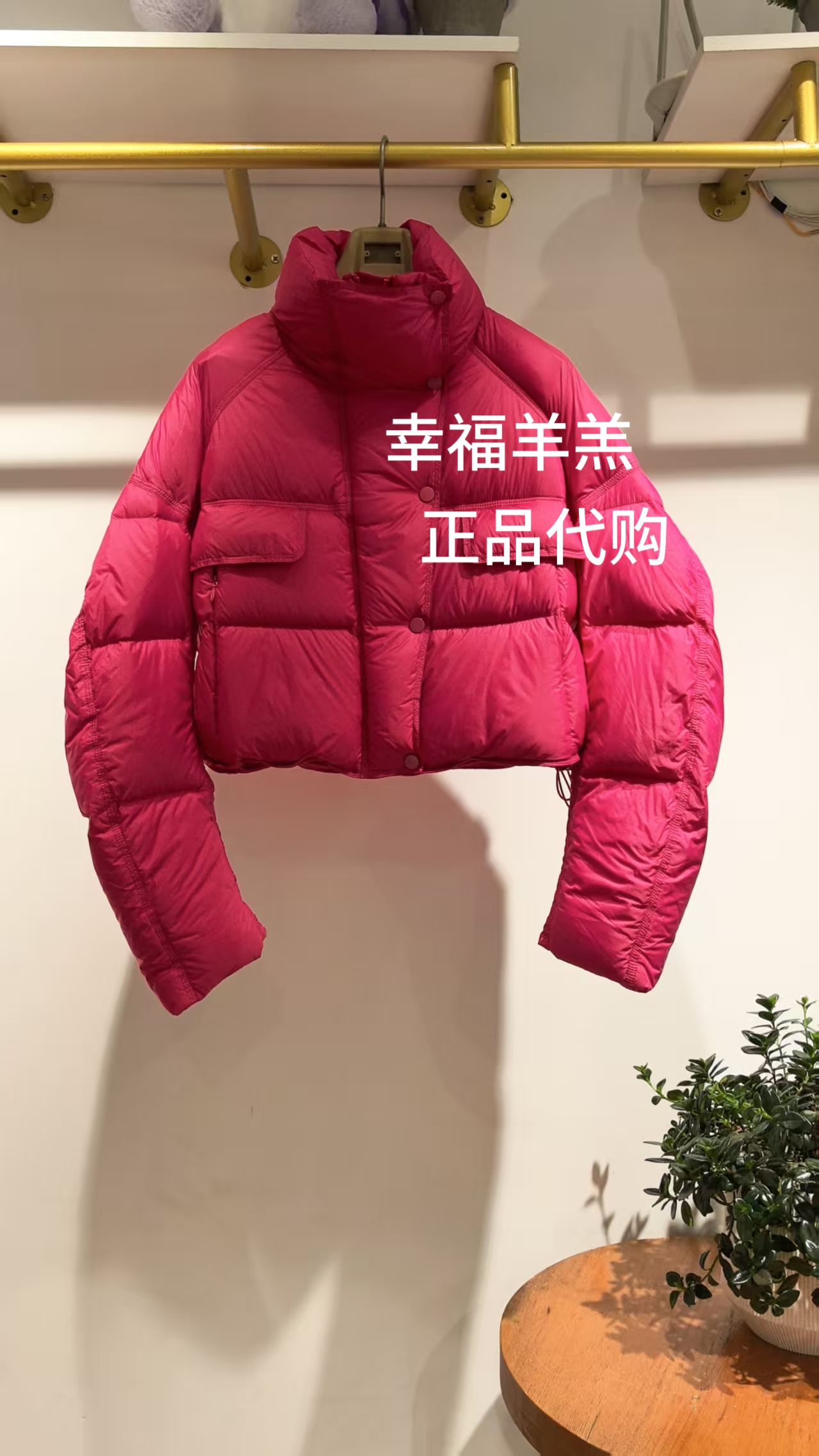 幸福家莫系列品牌女装商场同款R4D02711冬款专柜正品