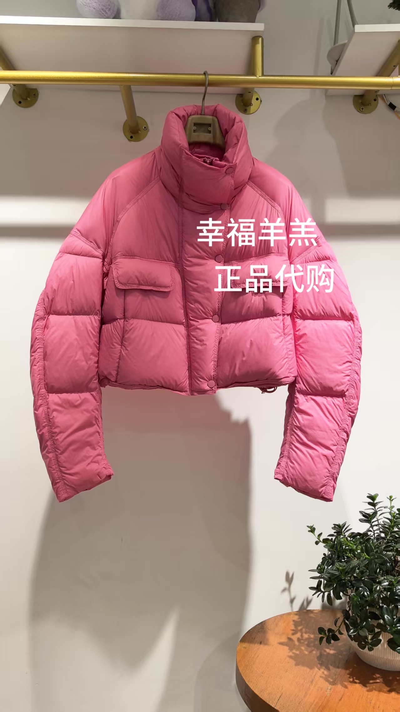 幸福家莫系列品牌女装商场同款R4D02711冬款专柜正品