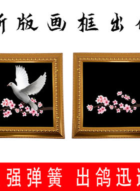 魔术道具画框出鸽才艺表演