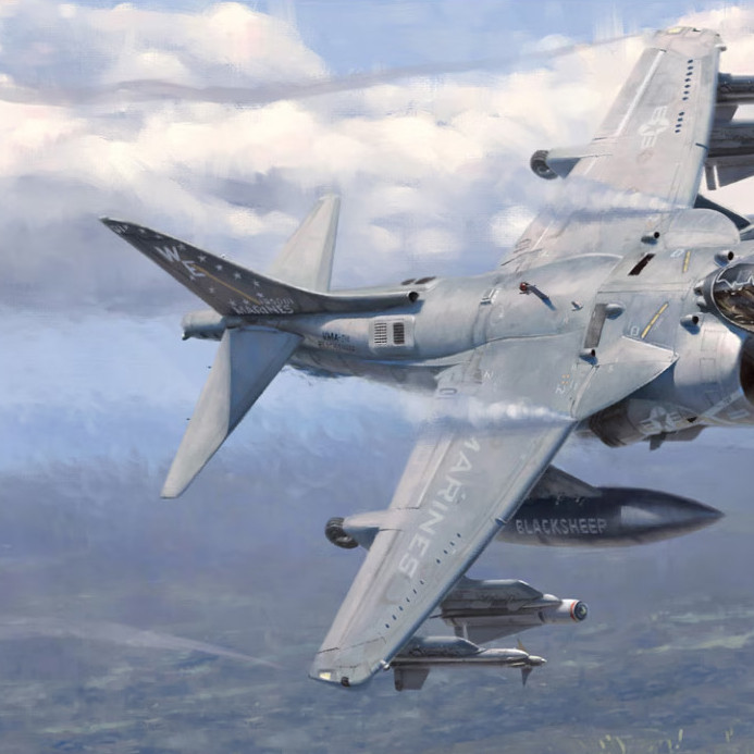 UMa Модель D1001 1/48 McDonnell Douglas AV-8B HarrierII Plus Изображение 1