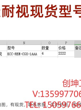 （创坤设备）康耐视KCC-REM-CGX-1AAA现货库存4个95新左右电
