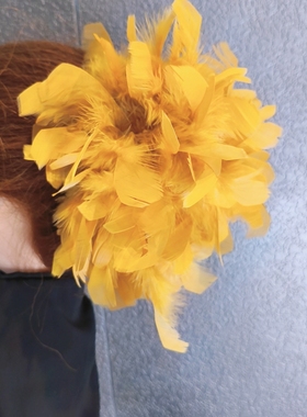 原创新款姜黄色羽毛抓夹大号鲨鱼齿夹子轻奢高级感盘发夹网红发饰