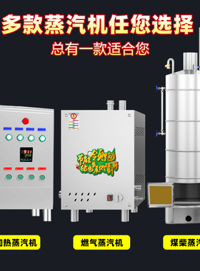 欣顺昊不锈钢煤柴锅炉蒸汽机