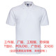 夏季 现货绣印 纯棉广告文化POLO衫 工作服翻领T恤厂服工衣工装 短袖