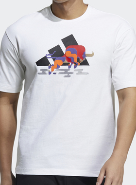 Adidas/阿迪达斯正品春季男装男子运动休闲半袖短袖T恤GP1835